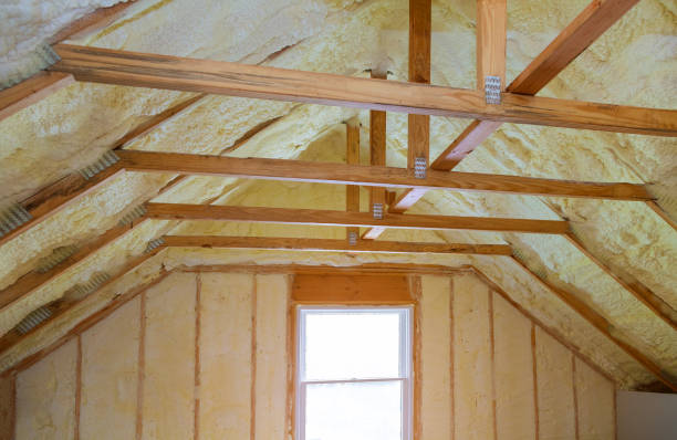 Best Types of Insulation in , SD