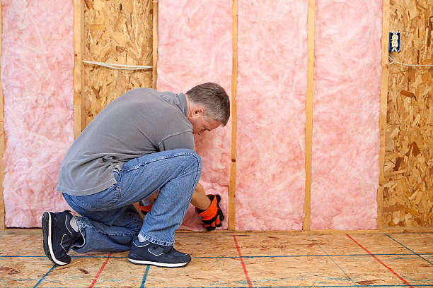 Best Insulation Maintenance and Repair in , SD